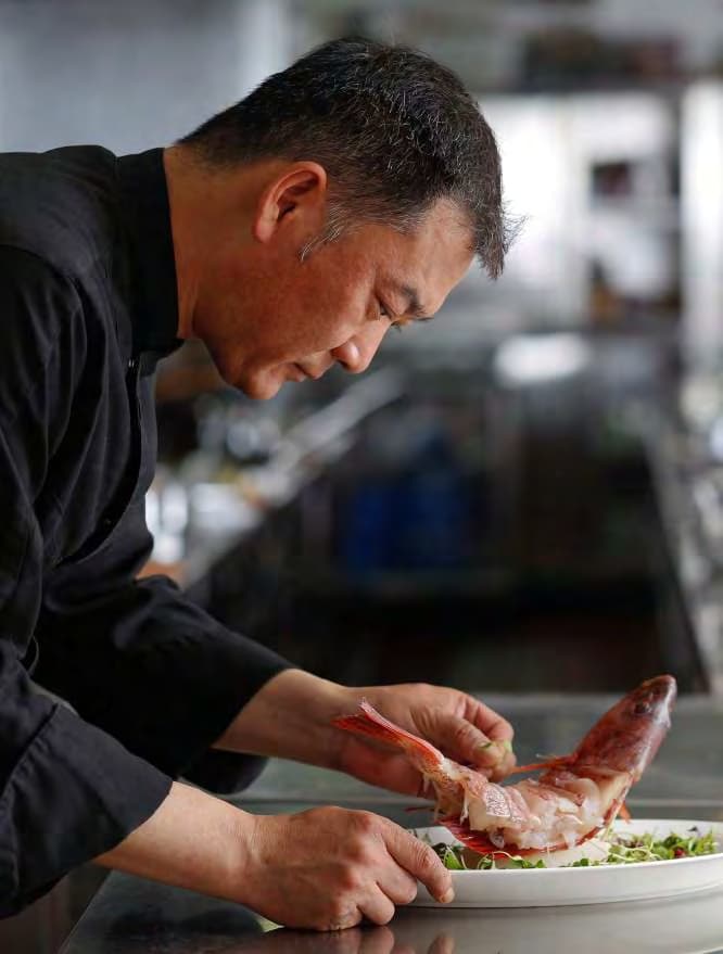 Timeless Design, Infinite Peace