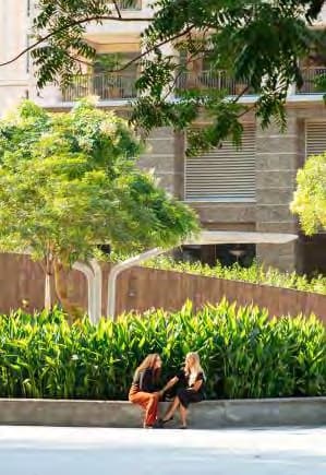 Where Heritage Meets Modernity