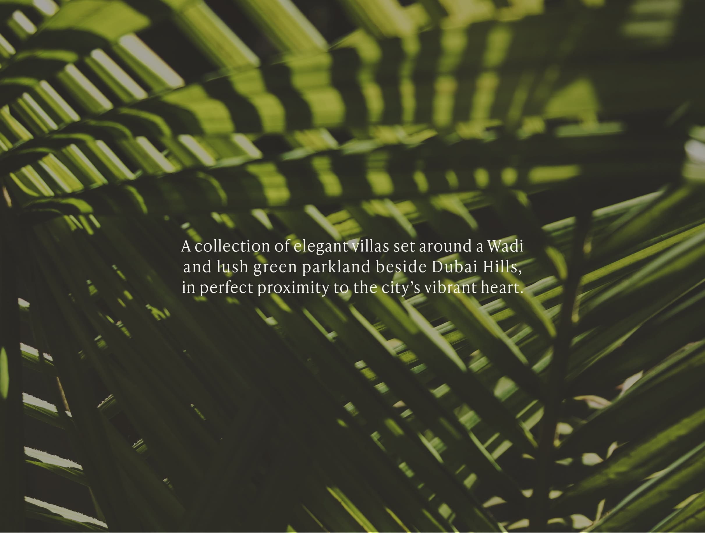 Project Hero Image 2